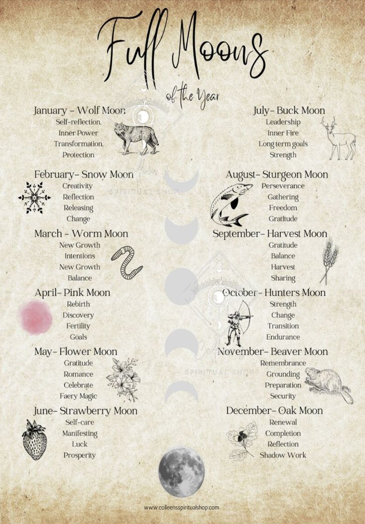 Moon Meanings Spiritual, New Moon Meaning Witchcraft, Wicca Full Moon, Different Full Moons, Harvest Moon Correspondences, Full Moons Of The Year, Full Moon Benefits, Moon Street Public Witch Board, Moons Of The Months