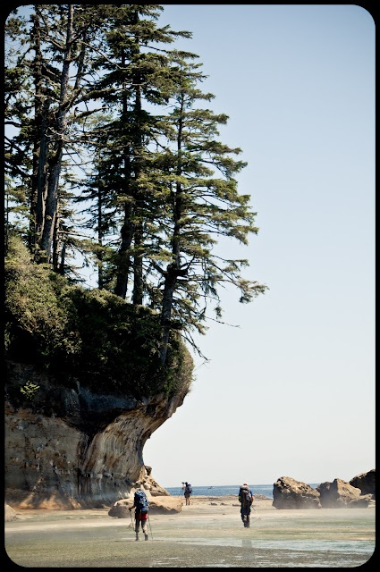 two people are walking on the beach near some trees