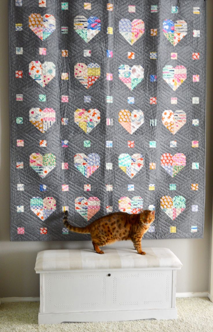 a cat standing on top of a white chest in front of a quilted heart wall hanging