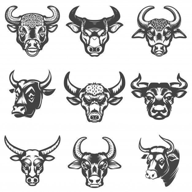 six bull heads with different facial expressions in black and white, on a white background