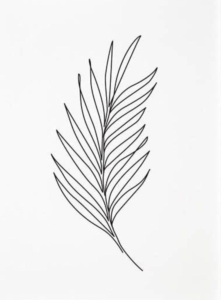 a black and white drawing of a leaf