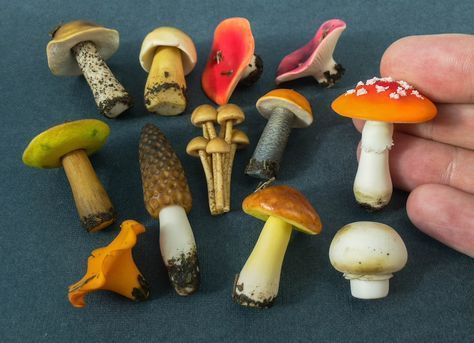 a hand is holding a small assortment of miniature mushrooms and toades on a table