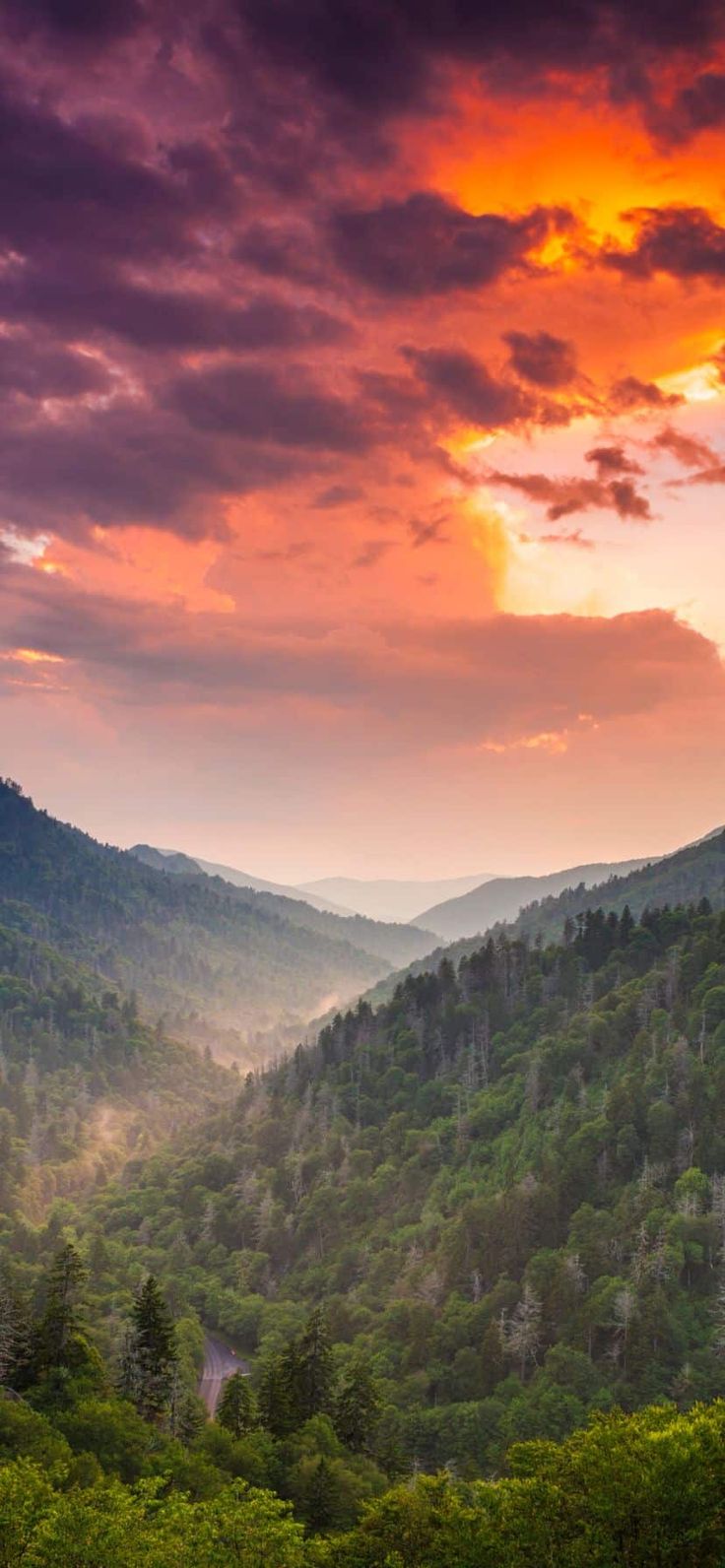 the sun is setting in the mountains with trees and bushes on either side of it