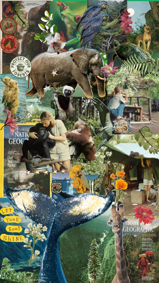 a collage of people and animals in the wild, including an elephant, giraffe