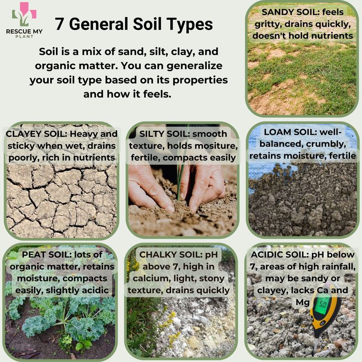 an info sheet describing soil types and their uses