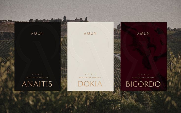 three different types of wine labels in the grass