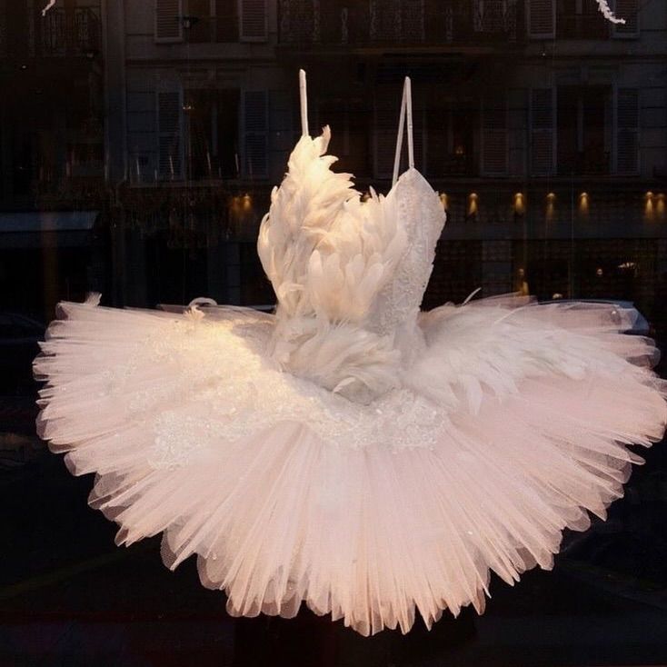 🦢 dress Swan Lake Costumes, Barbie Swan Lake, Flowers In The Attic, Ballerina Outfit, Art Coquillage, Tutu Ballet, Ballet Beauty, Ballet Clothes, Sugar Plum Fairy