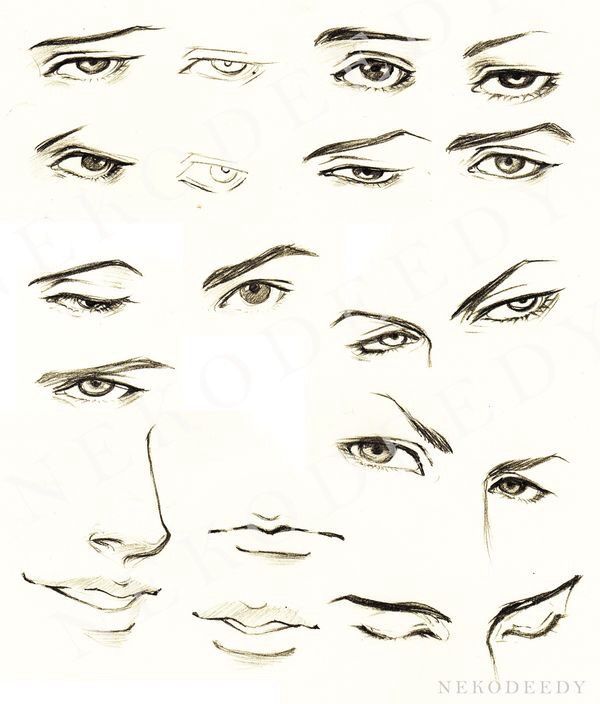 a bunch of different types of eyes and their features are drawn in pencil on paper