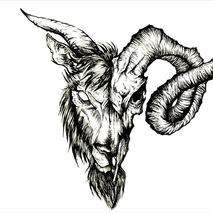 an ink drawing of a ram's head