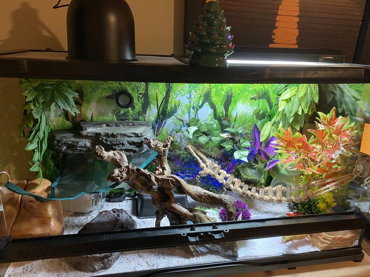 an aquarium filled with different types of plants and animals on top of a shelf next to a lamp