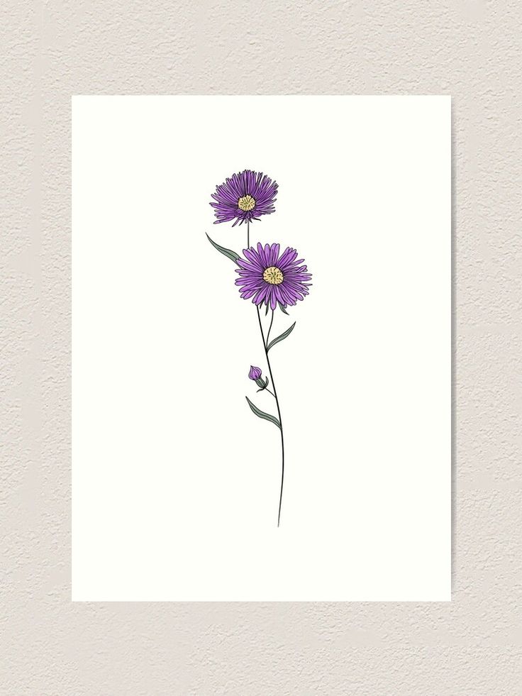 two purple flowers on a white background