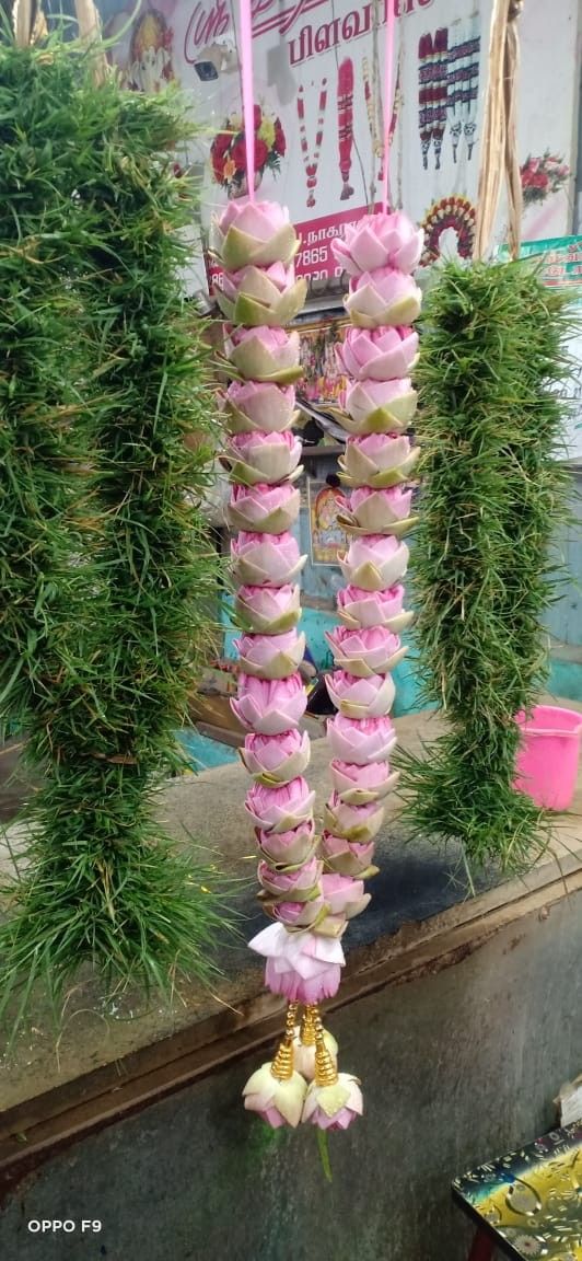 pink flowers hanging from the ceiling in front of some potted plants and other items