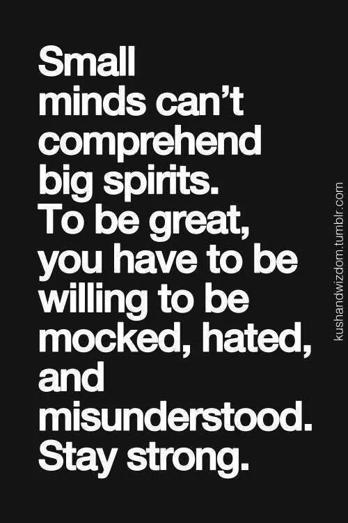 a black and white quote with the words small minds can't compreend big spirits to be great, you have to be rocking to be mocked,