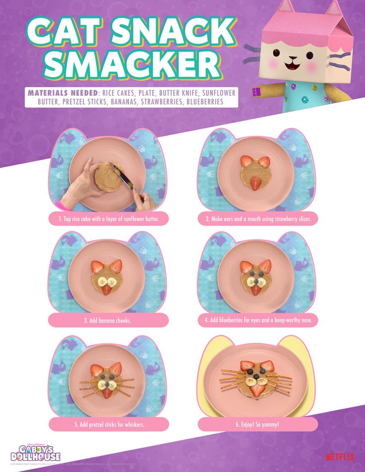 the instructions for how to make a cat snacker