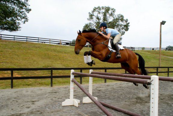 a woman riding on the back of a brown horse jumping over an obstacle in a field