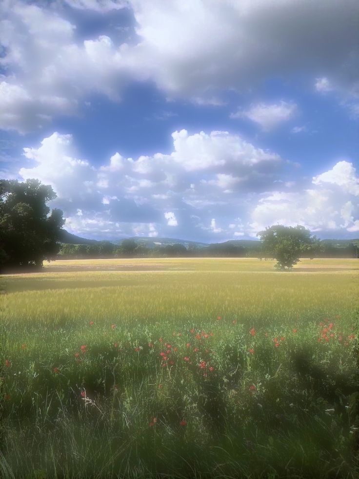 an open field with trees and flowers in the foreground under a cloudy blue sky