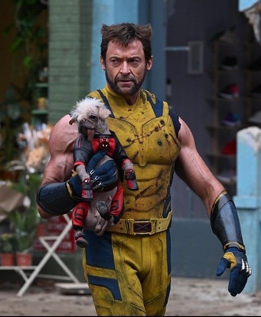 a man dressed as wolverine holding a stuffed animal