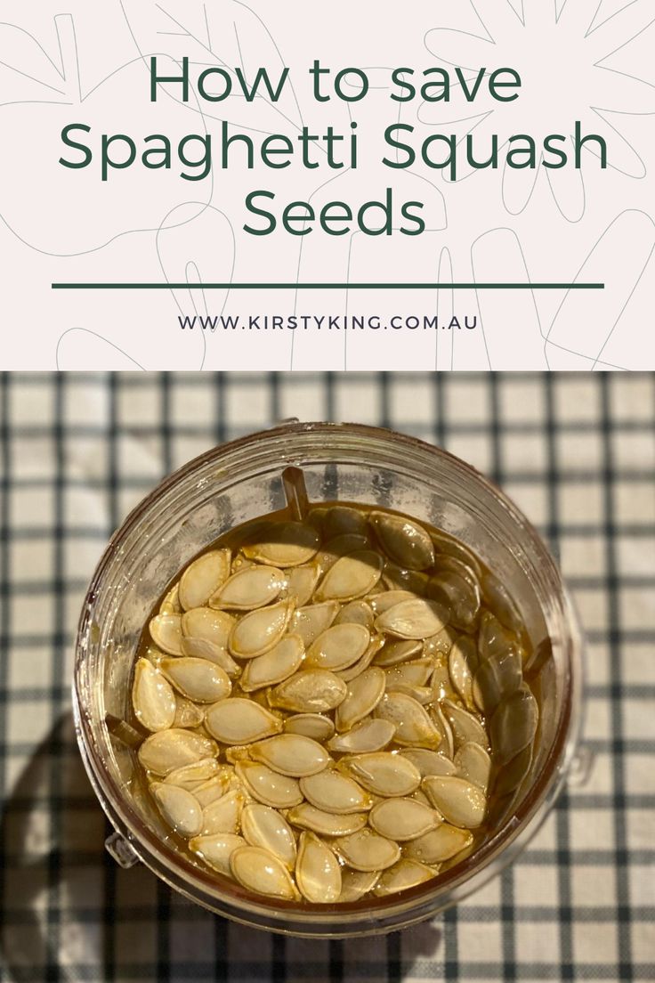 how to save spaghettitti squash seeds in a jar with text overlay that reads how to save spaghettitti squash seeds