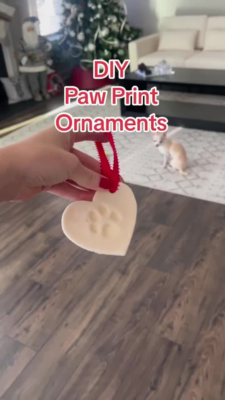 a person holding a heart shaped ornament in front of a cat on the floor