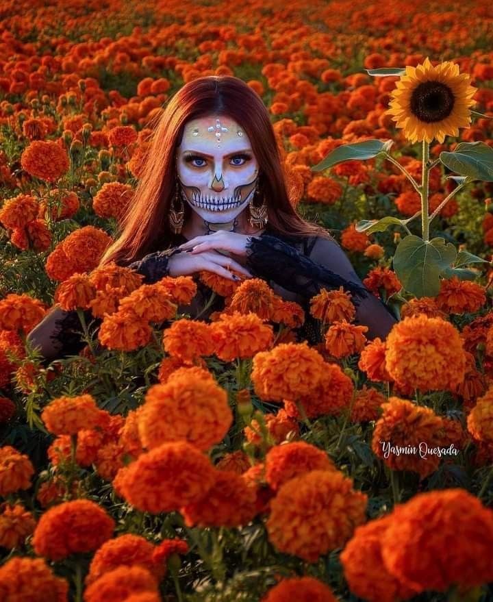 a woman with makeup painted to look like a skeleton sitting in a field of flowers