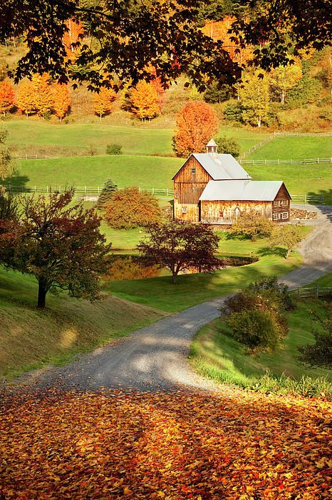 an autumn scene with leaves on the ground and a house in the distance, surrounded by trees