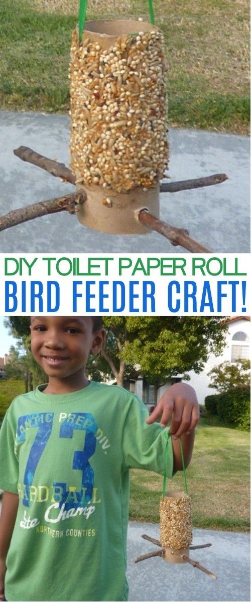 a boy is making a bird feeder out of paper rolls and wood sticks with the words diy toilet paper roll bird feeder craft