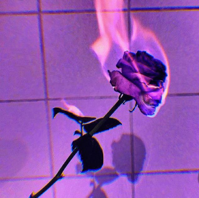 a single purple rose on a tile wall