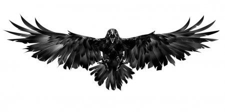 a black and white photo of a bird with its wings spread out, flying in the air