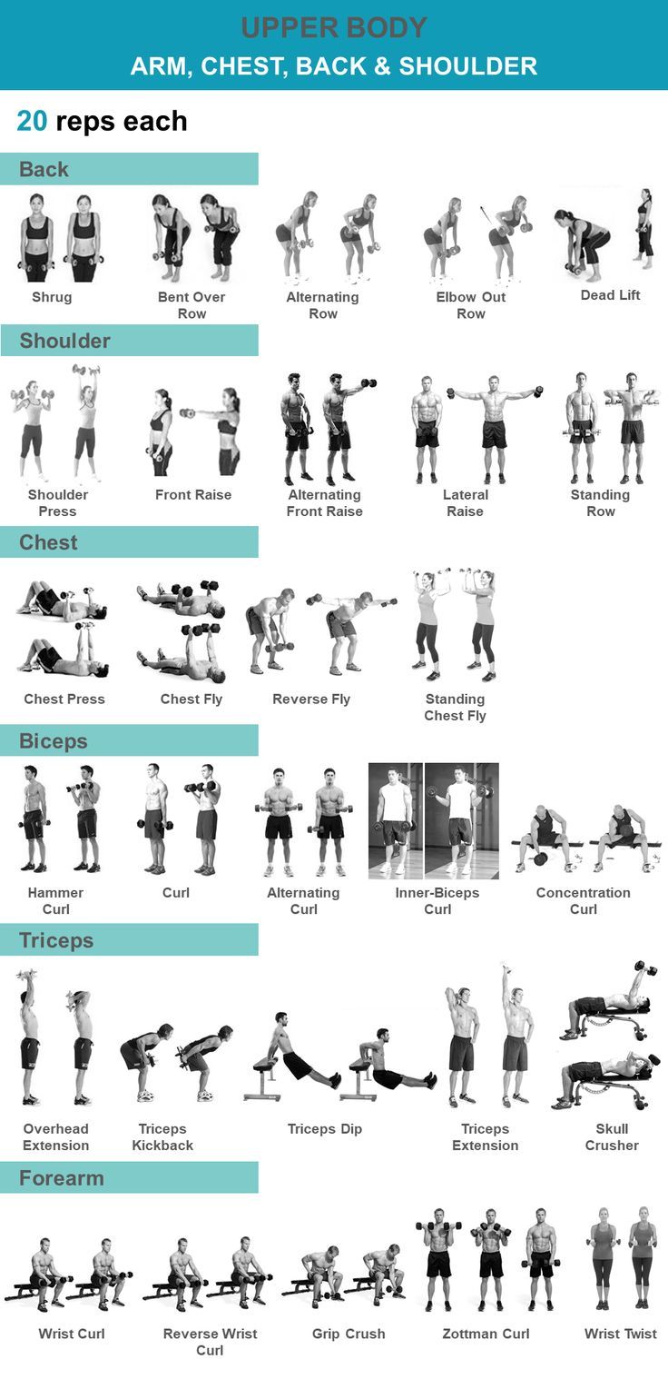 an exercise poster showing the different exercises to do for back and shoulder workouts, with instructions