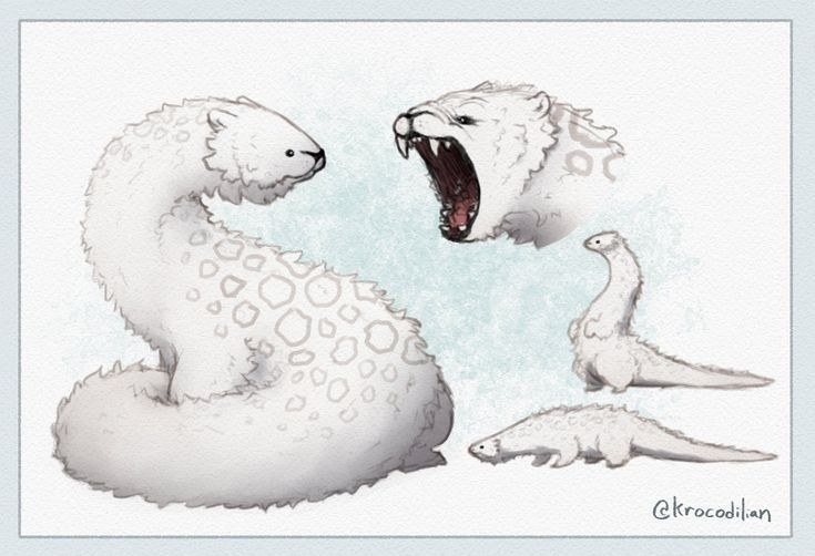 two white polar bears and one is yawning