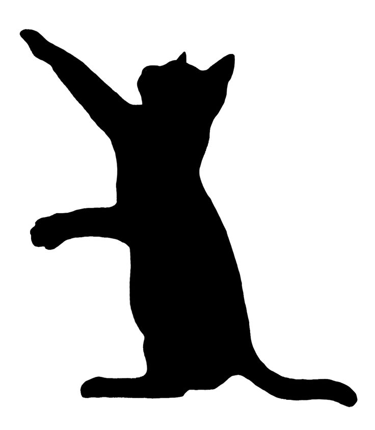 a black and white silhouette of a cat reaching up