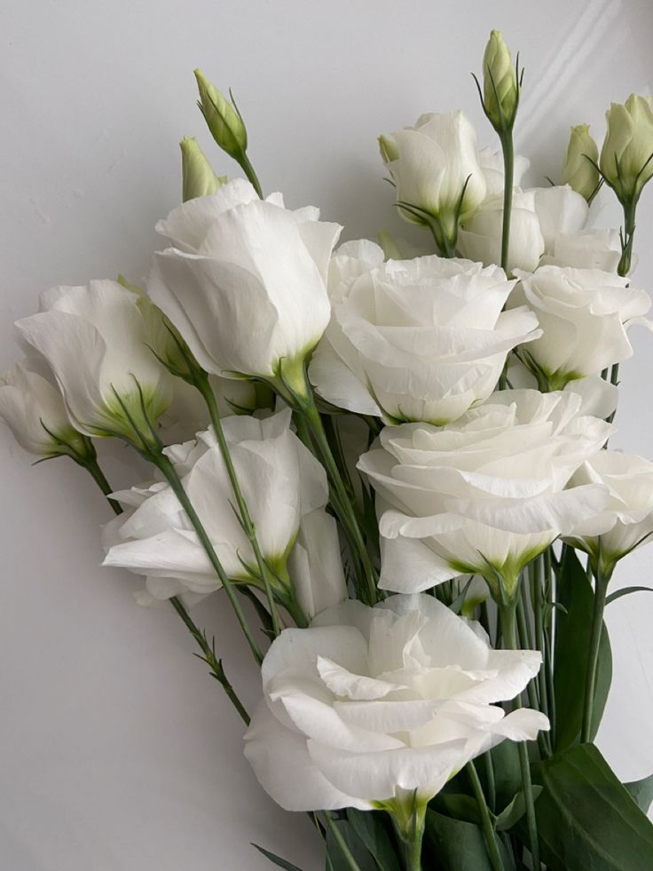 a bunch of white flowers sitting on top of a table