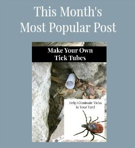 the cover of this month's most popular post, make your own tick tubes