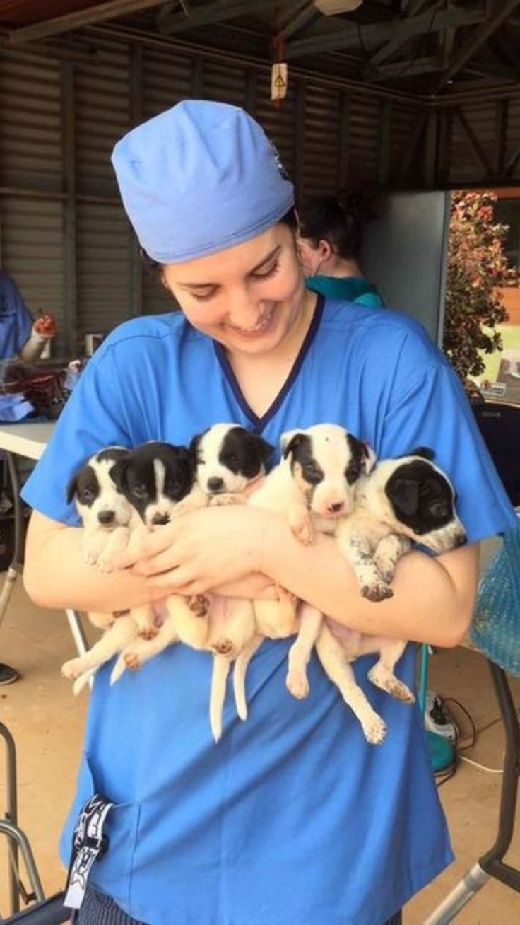 a woman in scrubs holding five puppies and smiling at the camera while wearing a blue hat