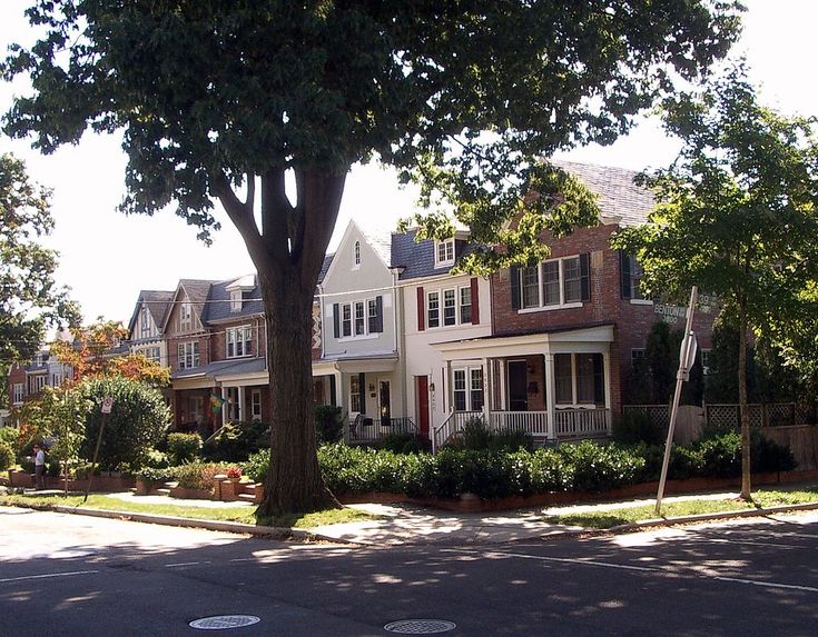 a street scene with focus on the trees and houses in the background at an intersection