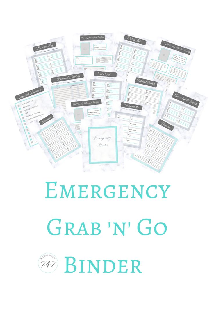 an emergency grab'n'go binder is shown with the words emergency grab'n'go binder