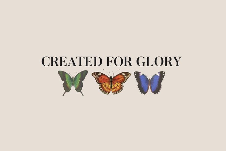 three butterflies with the words created for glory