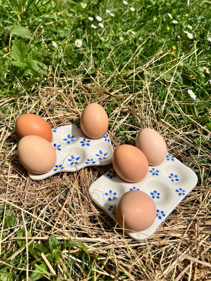 four eggs are sitting on a plate in the grass