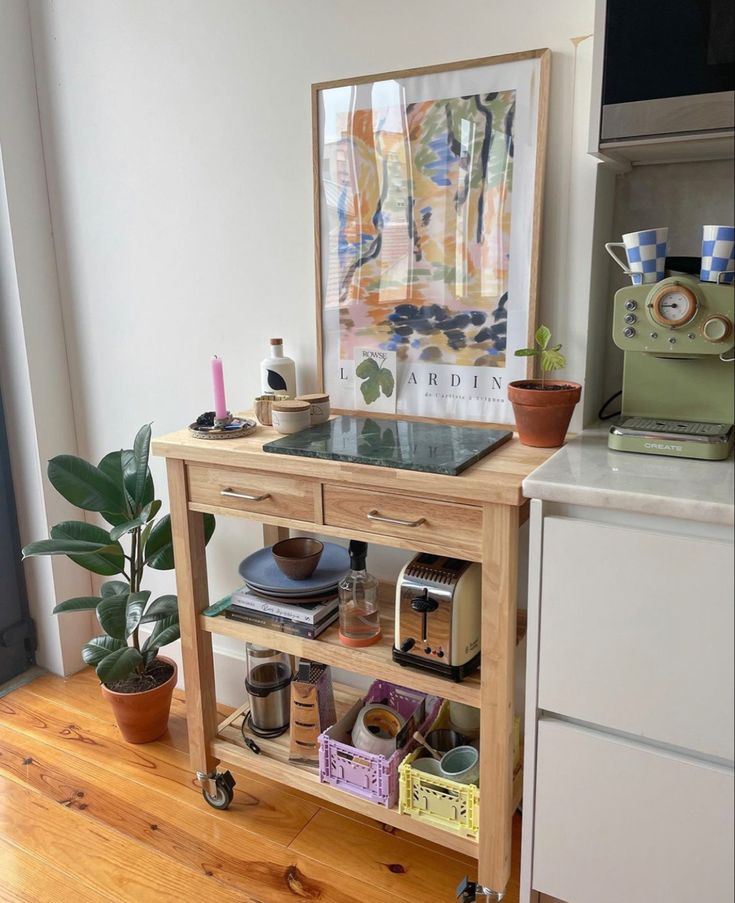 a kitchen with a potted plant on top of it and an art piece above the stove