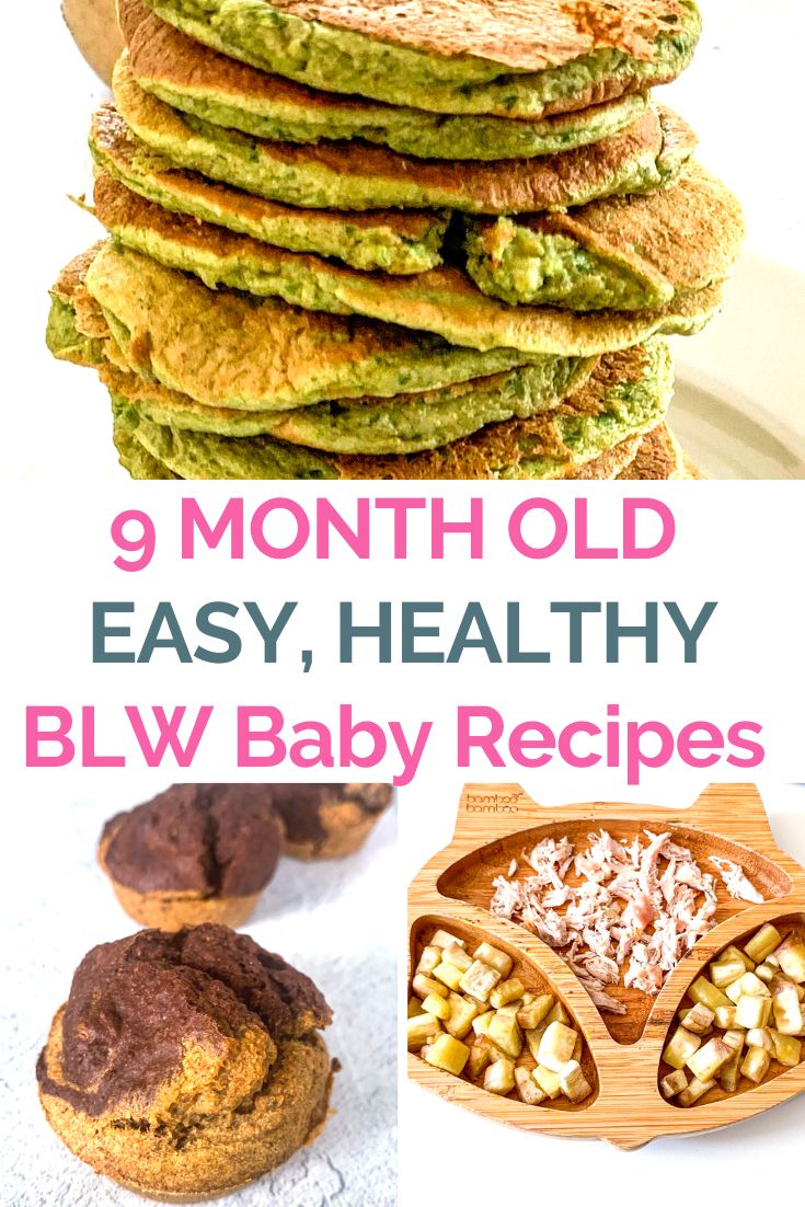 the 9 month old easy healthy blw baby recipes are great for feeding babies