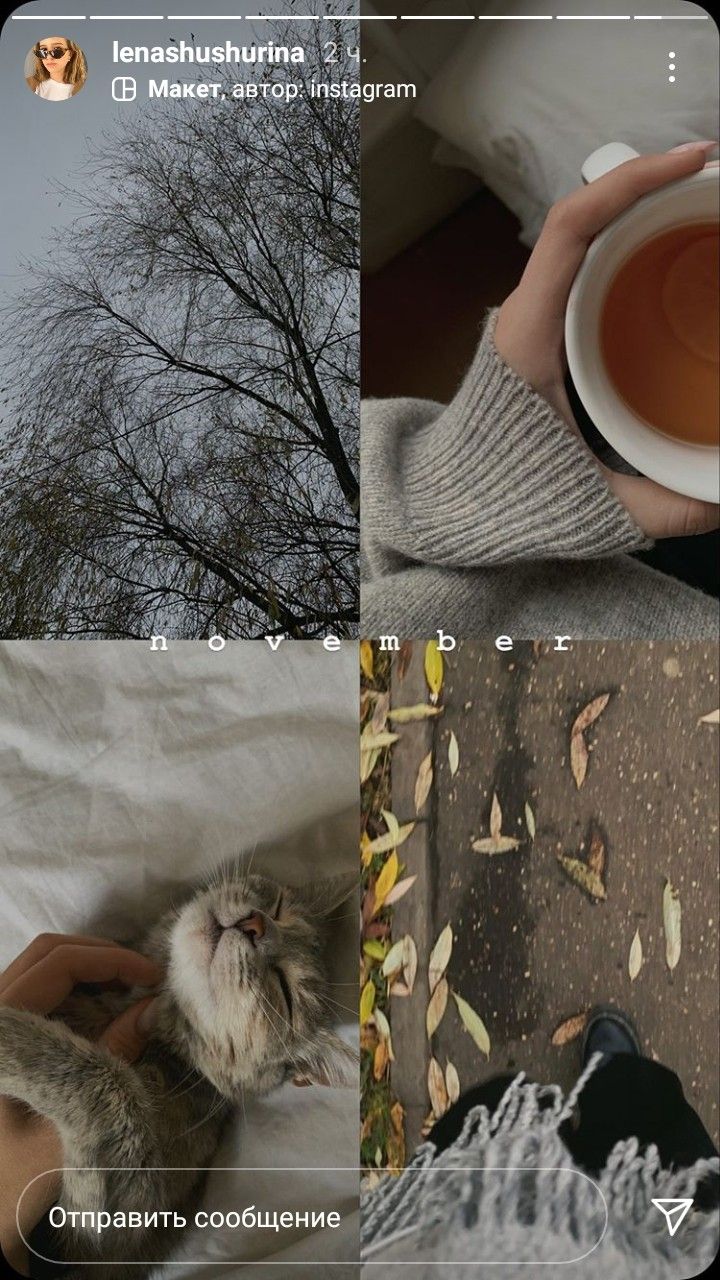 a person is holding a cup of tea and looking at the camera with an owl on their lap