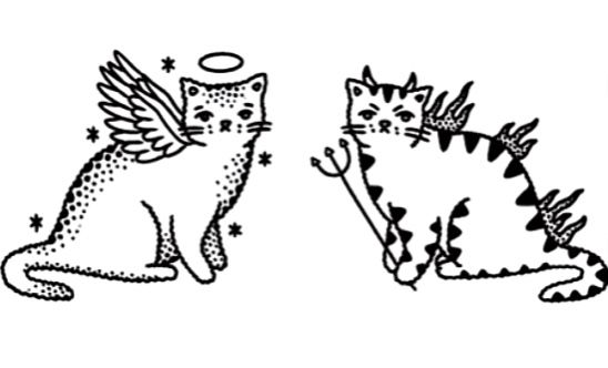 two cats sitting next to each other with wings on their back and one cat looking at the