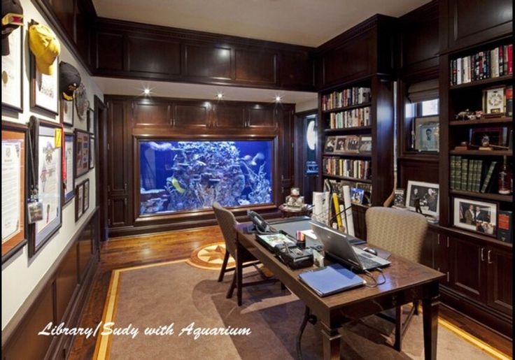 a home office with a fish tank in the window and bookshelves on the wall