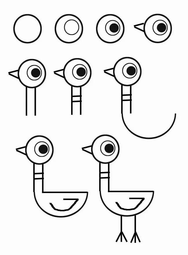 an image of birds with different eyes