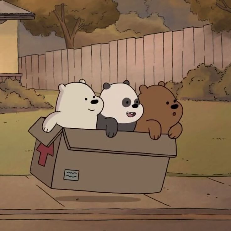 three bears are sitting in a box on the sidewalk