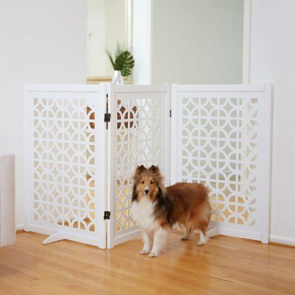 a small dog standing in front of a white gate with a mirror on the wall