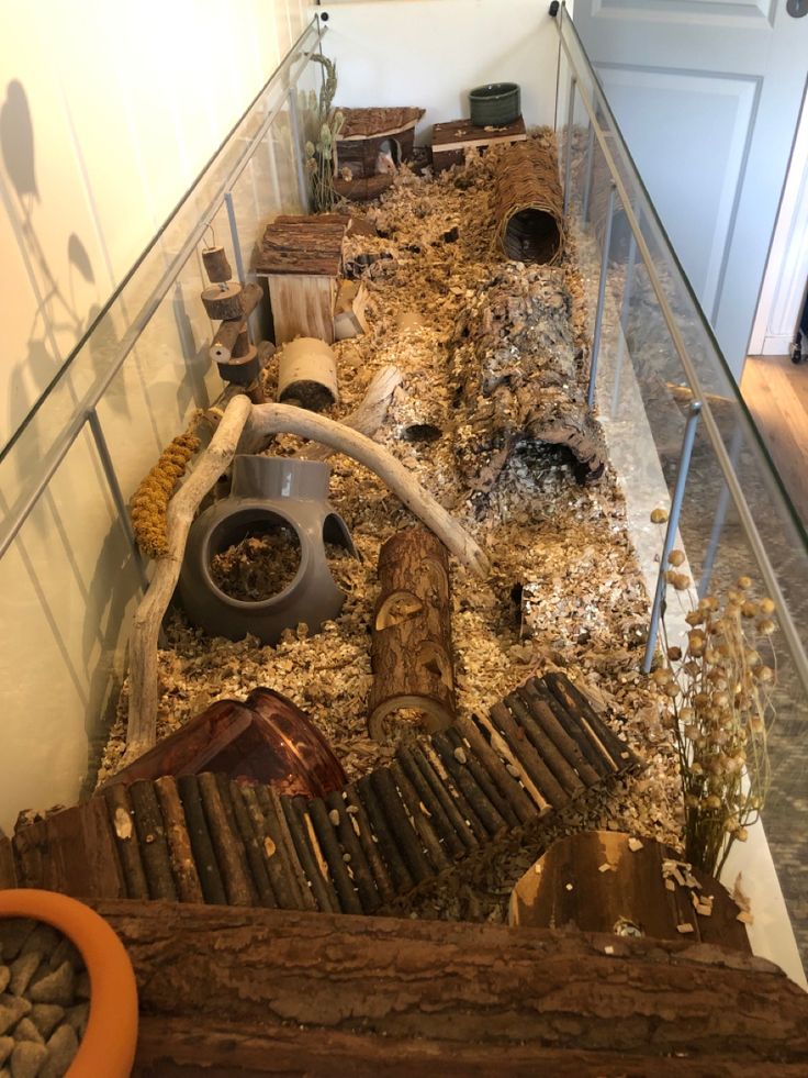 a glass case filled with lots of different types of animals in it's habitat