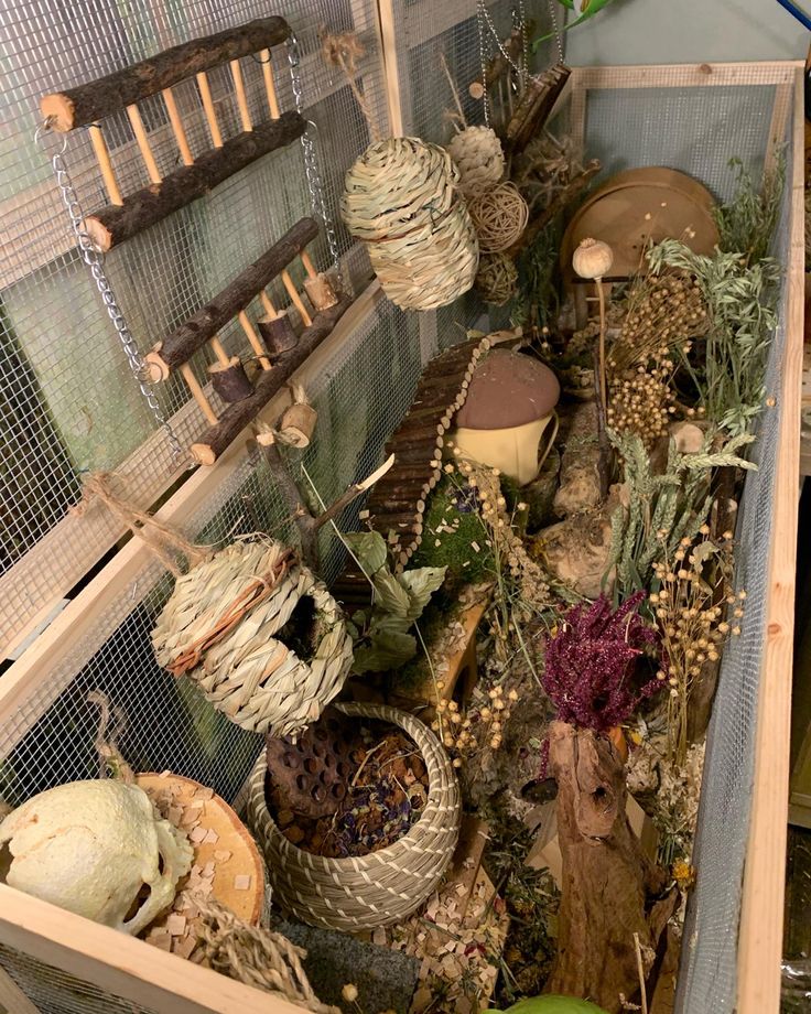 an open box filled with lots of different types of plants and animals in it's cage