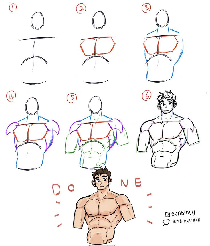 how to draw male torsos with different poses and body shapes for the man's head