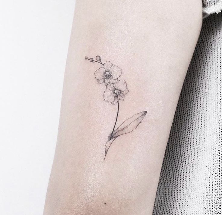 a single flower tattoo on the left arm